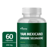yam-mexicano-250-mg-60-caps-250-mg-bs-pharma-selo