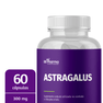 Astragalus-60-caps-300-mg-bs-pharma-selo