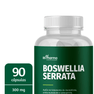 Boswellia-serrata-90-caps-300-mg-bs-pharma-selo