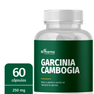 Garcinia-Cambogia-60-caps-250-mg-selo